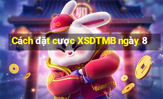 Cách đặt cược XSDTMB ngày 8