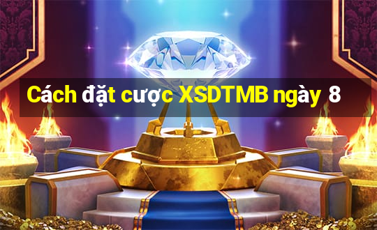 Cách đặt cược XSDTMB ngày 8