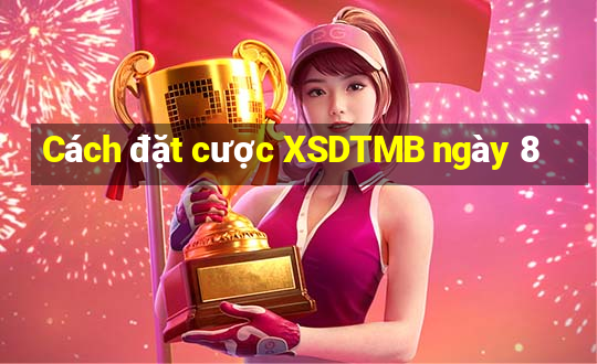 Cách đặt cược XSDTMB ngày 8