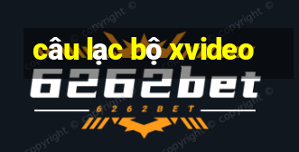 câu lạc bộ xvideo