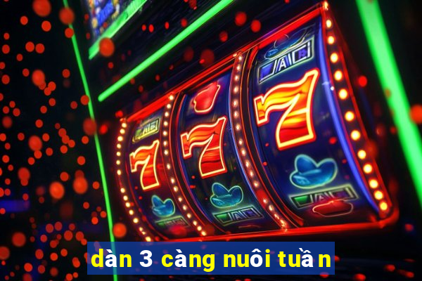 dàn 3 càng nuôi tuần