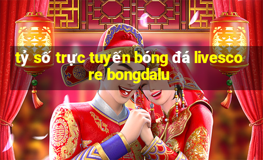 tỷ số trực tuyến bóng đá livescore bongdalu