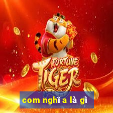 com nghĩa là gì