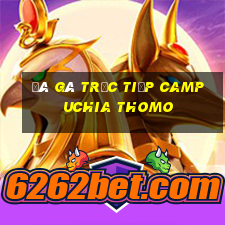 đá gà trực tiếp campuchia thomo