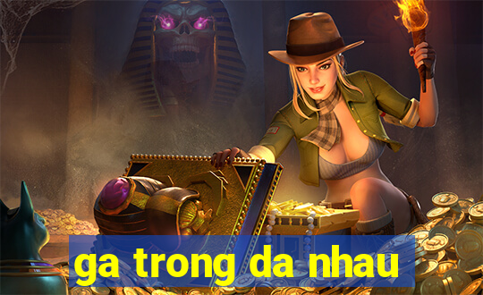 ga trong da nhau