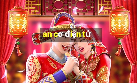 an cơ điện tử