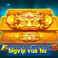 bigvip vua hu