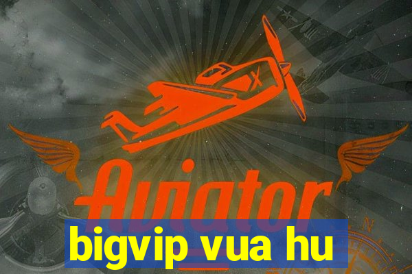 bigvip vua hu