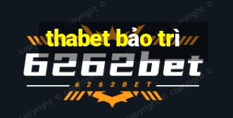 thabet bảo trì