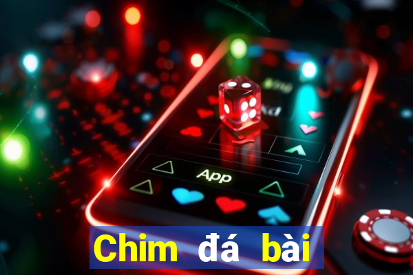 Chim đá bài địa chủ aap