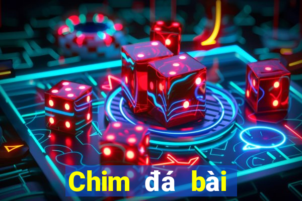 Chim đá bài địa chủ aap