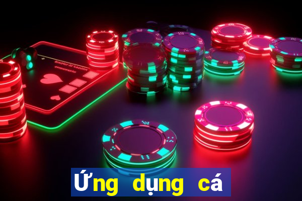 Ứng dụng cá cược bóng đá