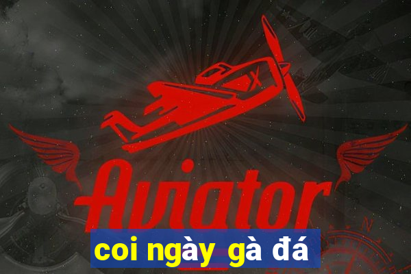 coi ngày gà đá