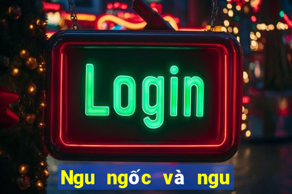 Ngu ngốc và ngu ngốc giải trí