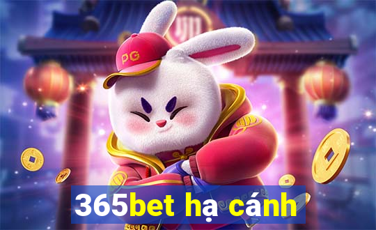 365bet hạ cánh