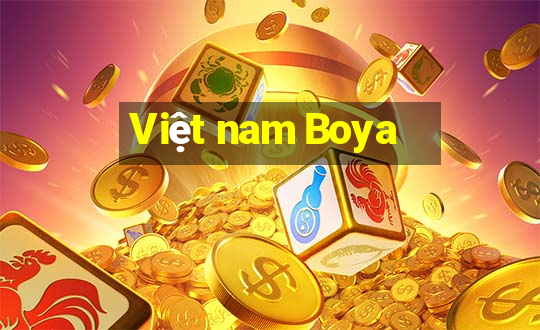 Việt nam Boya