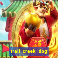 trail creek dog training club