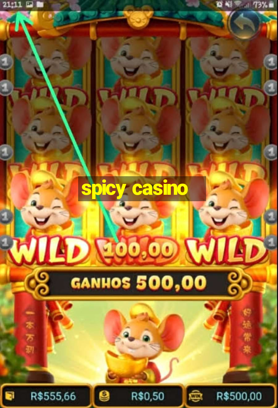 spicy casino