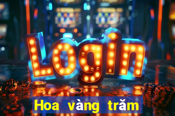 Hoa vàng trăm người chiên v1.3