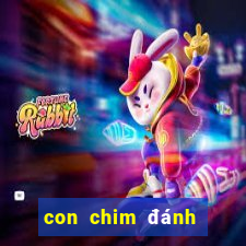 con chim đánh số mấy