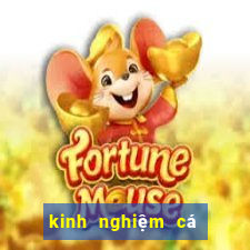 kinh nghiệm cá độ bóng đá