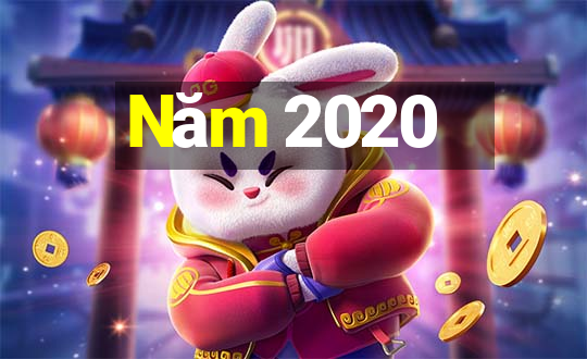 Năm 2020