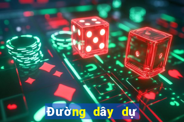 Đường dây dự phòng ceo