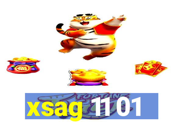 xsag 11 01