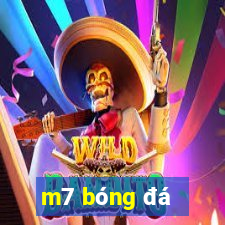 m7 bóng đá