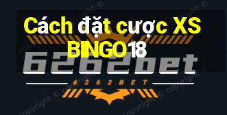 Cách đặt cược XSBINGO18