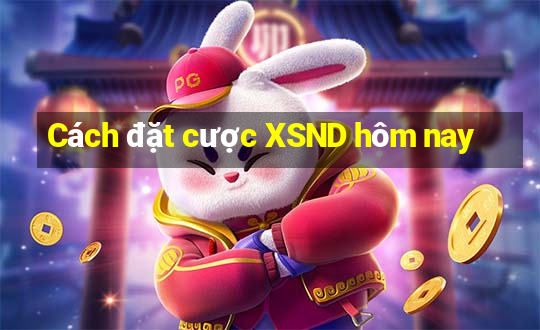 Cách đặt cược XSND hôm nay