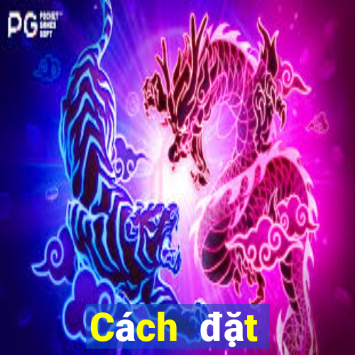 Cách đặt cược XSQT ngày 9