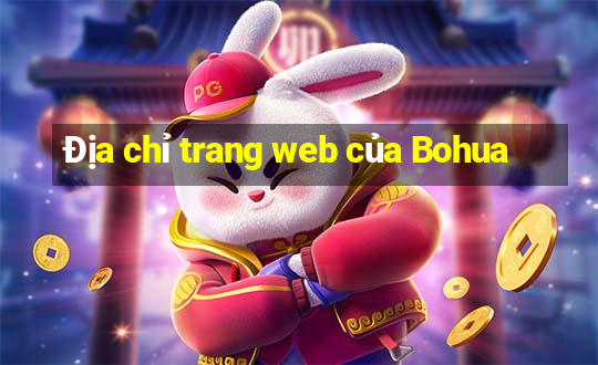 Địa chỉ trang web của Bohua