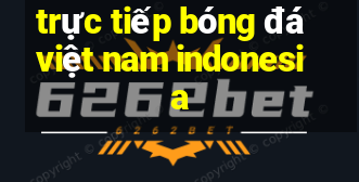 trực tiếp bóng đá việt nam indonesia