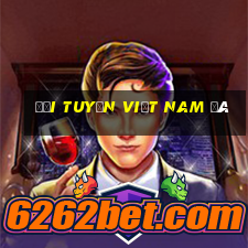 đội tuyển việt nam đá