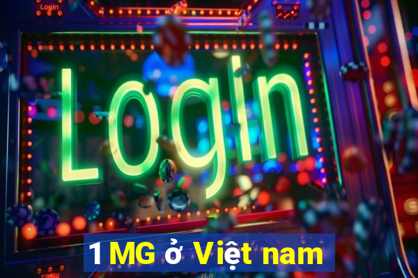 1 MG ở Việt nam