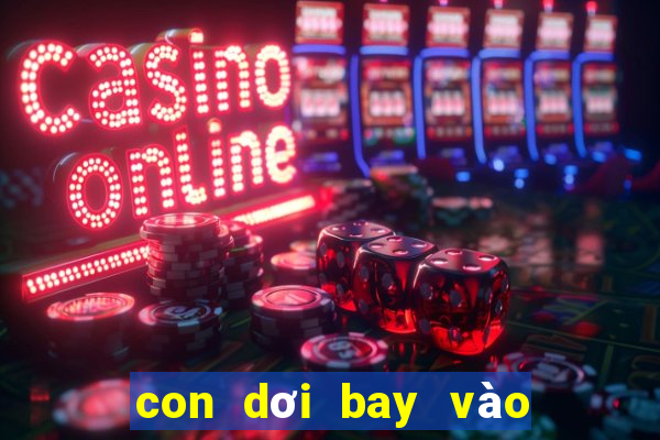 con dơi bay vào nhà có điềm gì không