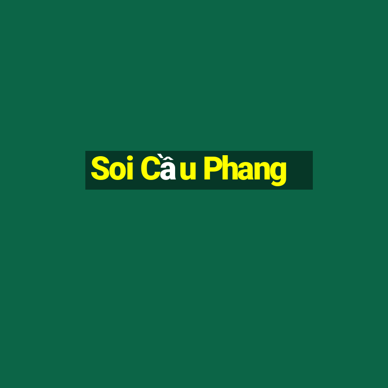 Soi Cầu Phang