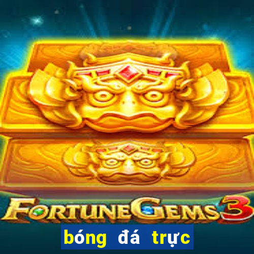 bóng đá trực tiếp kênh vtv2