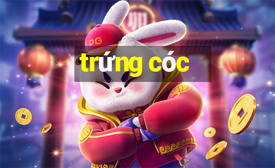 trứng cóc