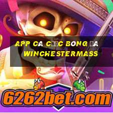 app cá cược bóng đá winchestermass