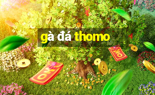 gà đá thomo