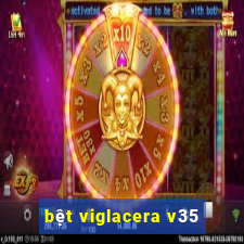 bệt viglacera v35