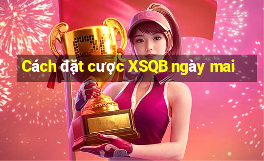 Cách đặt cược XSQB ngày mai