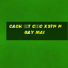 Cách đặt cược XSTN ngày mai