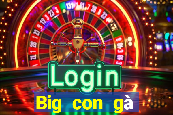 Big con gà trống tải về