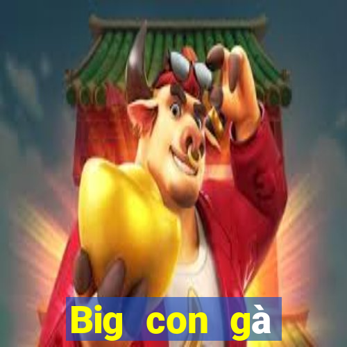 Big con gà trống tải về