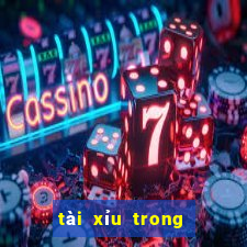 tài xỉu trong bóng đá là sao