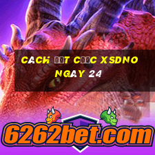 Cách đặt cược XSDNO ngày 24