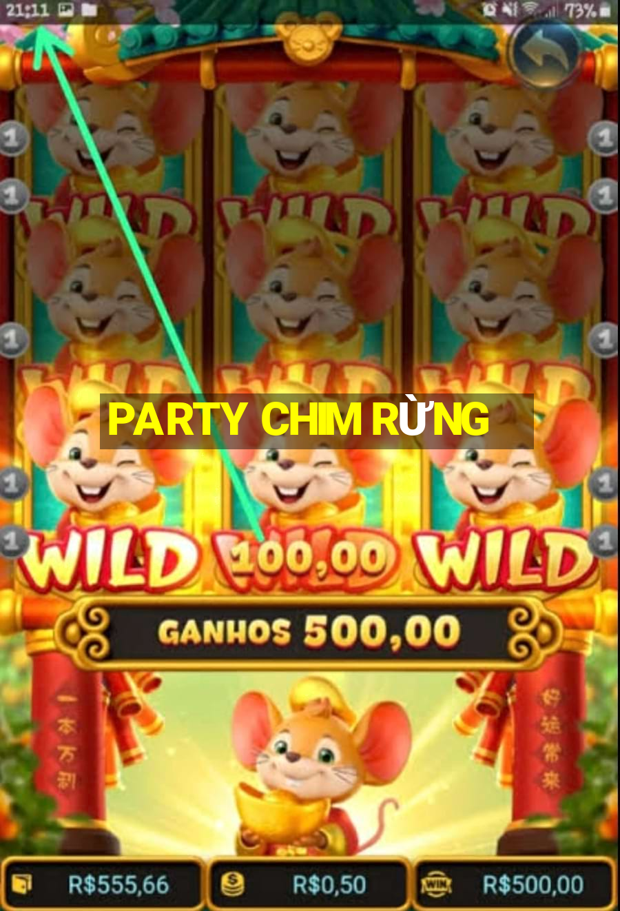 PARTY CHIM RỪNG